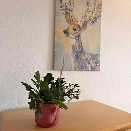 Work & Stay Greifswald Nord -Moeblierte Unterkunft Fuer Monteure Appartamento Süderholz